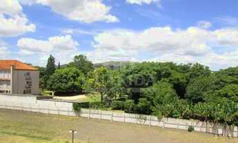 Imagem 2: Apartamento no Ipanema 3 dorrmitórios 1 vaga