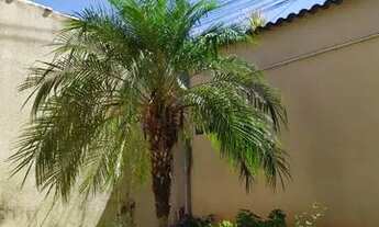 Imagem: Aluguel flor do cerrado Anápolis Go