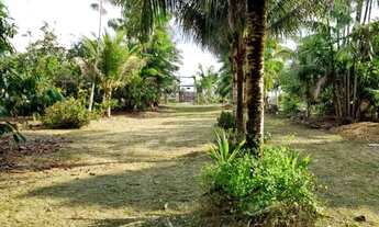 Imagem: Sítio - À 3km do rio preto