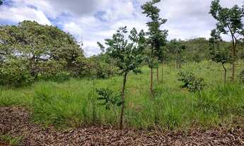 Imagem 6: Sítio chácara fazendinha Planaltina DF