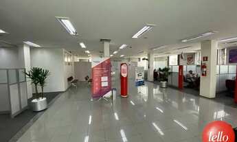 Imagem 2: São Paulo - Loja/Salão - Vila Mascote