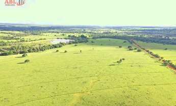 Imagem 4: Fazenda Lavoura para Venda em Paranaíba-MS - 3170
