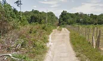 Imagem 2: Lote Grande 100 x 1.000