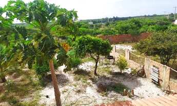 Imagem 6: Casa em Paulino Neves - MA