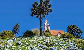 Imagem 7: Gramado - Apartamento Padrão - Moura
