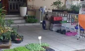 Imagem: Aviario pet shop