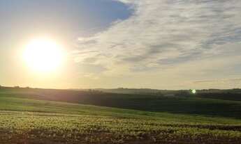 Imagem 3: 1.000m2 Lançamento