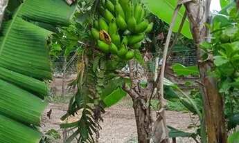 Imagem 5: Vendo chácara Corumbá 4.