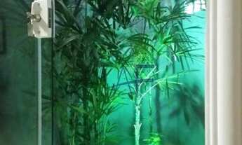 Imagem 3: Casa com 3 dormitórios à venda, 160 m² por R$ 680.000,00 - Campos do Conde Louvre - Tremem