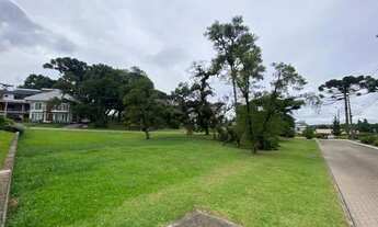 Imagem 6: Canela - Terreno Padrão - Centro