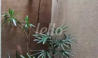 Imagem 3: Santo André - Casa Padrão - Vila Valparaíso