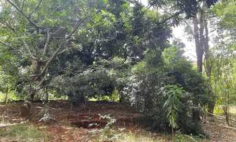 Imagem 4: Chácara à venda 17538M², Sítio de Recreio Ipê, Goiânia - GO