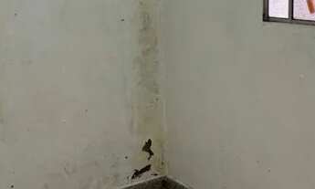 Imagem 3: Casa com 3 quartos - Arniqueiras (Sem caução e fiador