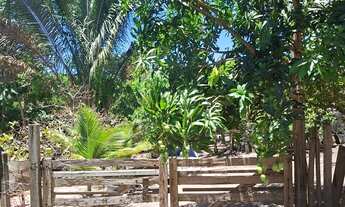 Imagem: Vendo Chacara