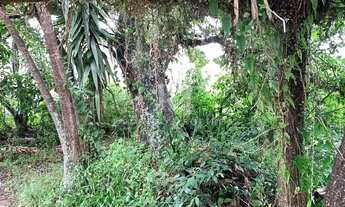 Imagem 3: Terreno plano à venda em Jurerê Internacional, Florianópolis