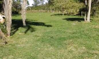 Imagem 3: Terreno à venda, 6000 m² (20×300) por R$ 310.000,00 - Três Vendas - Pelotas/RS! Adquira o