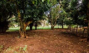 Imagem 5: Vendo 15 hectares de terra dentro da expansão urbana de Goiânia