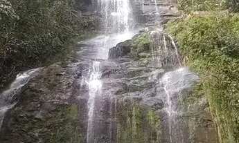 Imagem: Fazenda de 159 hectares em Buritis, Minas