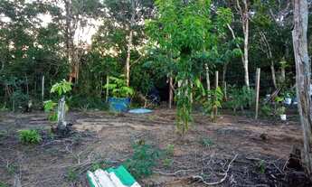 Imagem 2: Vendo terreno em paricatuba