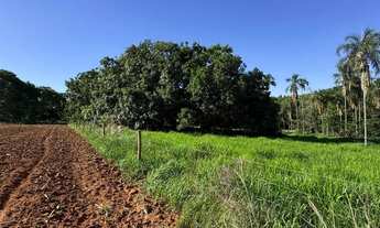 Imagem: Chácara próximo a Bela Vista de Goiás