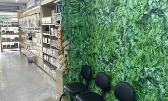 Imagem 7: Loja de produtos naturais a venda no parque Atheneu