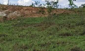 Imagem 3: Chácara em Guapó