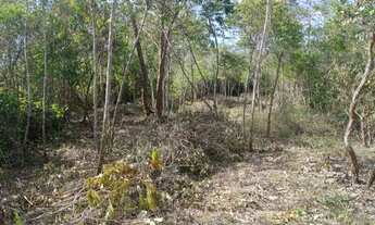 Imagem 4: Chácaras de 2.500 metros em Esmeraldas