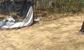 Imagem 2: Vende-se mini chácara em Caldas novas