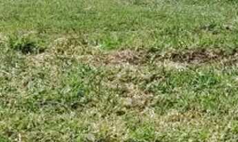 Imagem 2: TERRENO EM CONDOMÍNIO - BAIRRO ITAPEMA - SP