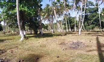 Imagem 7: Terreno no Povoado Riacho Velho em Marechal Deodoro, Alagoas- Medindo 10.843 m2