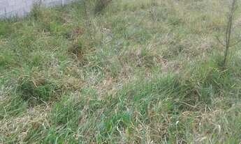 Imagem 5: LOTE EM CONDOMÍNIO FECHADO DE MEDIO PADRÃO