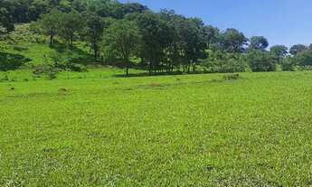 Imagem: Fazenda Itumbiara 18 alqueires