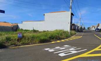 Imagem 5: TERRENO - JARDIM NOÊMIA - SP