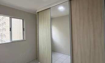 Imagem 5: PALMEIRAS 3 | MARIO ANDREAZZA