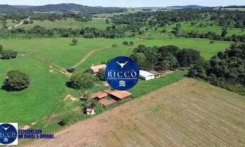 Imagem 7: Fazenda à Venda em Cezarina 20 Alqueires Produtivos, Próxima a Goiânia