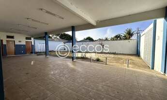 Imagem 3: Imóvel Comercial para aluguel, Chácaras Tubalina e Quartel - Uberlândia/MG