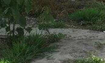 Imagem 6: Casa para aluguel 2 quartos no Bairro DUMAVILLE