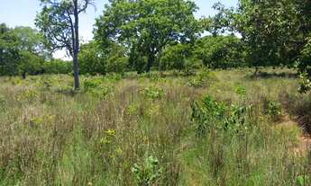 Imagem: CHÁCARA PRÓXIMA A CACHOEIRA DO ITIQUIRA