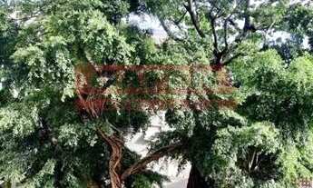 Imagem 2: Excelente apartamento sala 2 quartos com vaga de garagem !