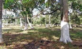 Imagem 3: Terreno no Povoado Riacho Velho em Marechal Deodoro, Alagoas- Medindo 10.843 m2