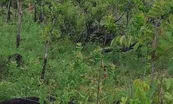 Imagem 4: Vendo área na serra a 3 Km de Palmas
