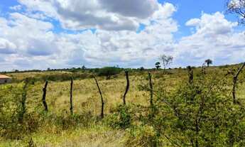 Imagem 6: 34,5 Tarefas (150.282m²