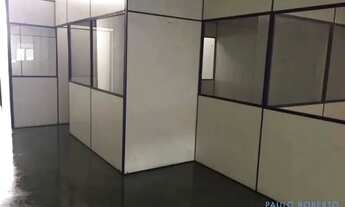 Imagem 6: GALPÃO - PLANALTO PAULISTA - SP