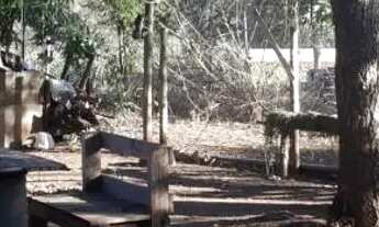 Imagem 2: CHACARA A VENDA Chácara com venda por R$280.000