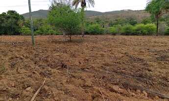 Imagem 4: Área 125 Hectares/Em Moc/Ideal pra dividir em sítios menores...Aceita veículo ou imóvel.