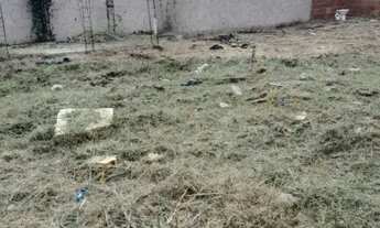 Imagem 6: Vendo 2 terrenos