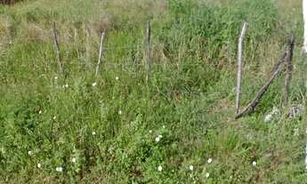 Imagem 3: Terreno com 800m² - no San Vale - escriturado