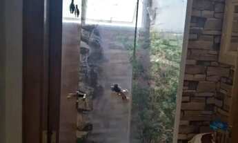 Imagem 5: Apartamento - Jardim São Vicente - 2 dormitórios - 58m² - 1 vaga