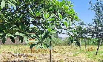 Imagem: Lote à Venda Bairro Shopping Park 10X30!