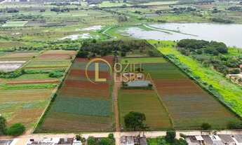 Imagem 2: CHÁCARA 105 HECTARES ESCRITURADA 100% PLANA CASA SEDE TANQUE DE PEIXES NO INCRA 08 BEIRA